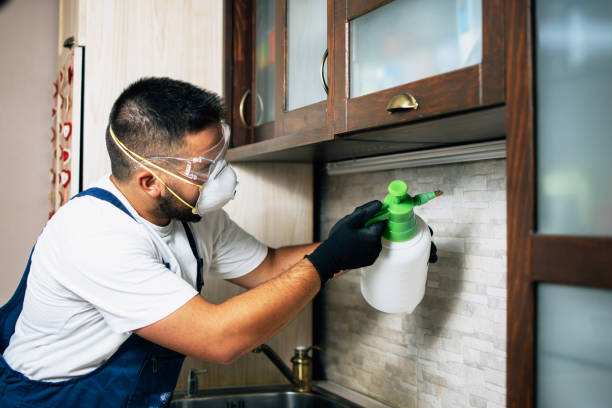 Best Pest Control Near Me in Newport News, VA