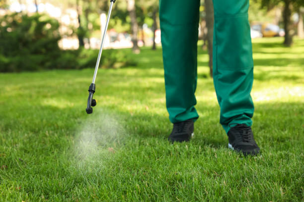 Best Bird Control  in Newport News, VA