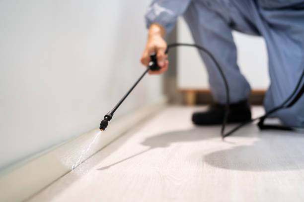 Pest Control Cost in Newport News, VA