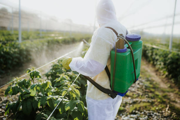 Best Best Pest Control Companies  in Newport News, VA